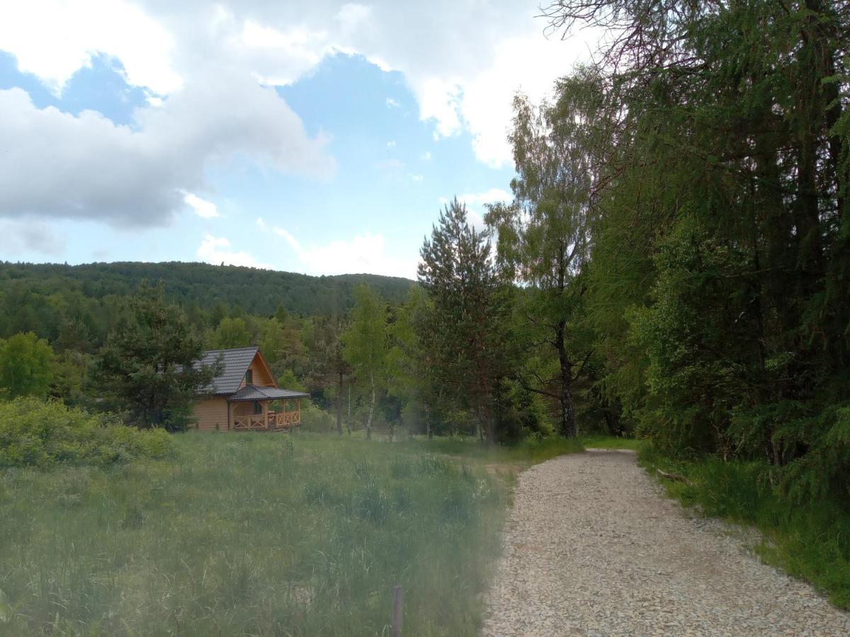 Markowa Holiday home Cisna