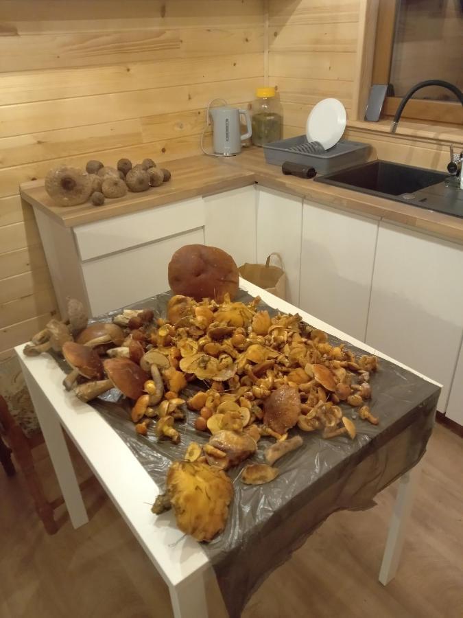 Markowa Cisna